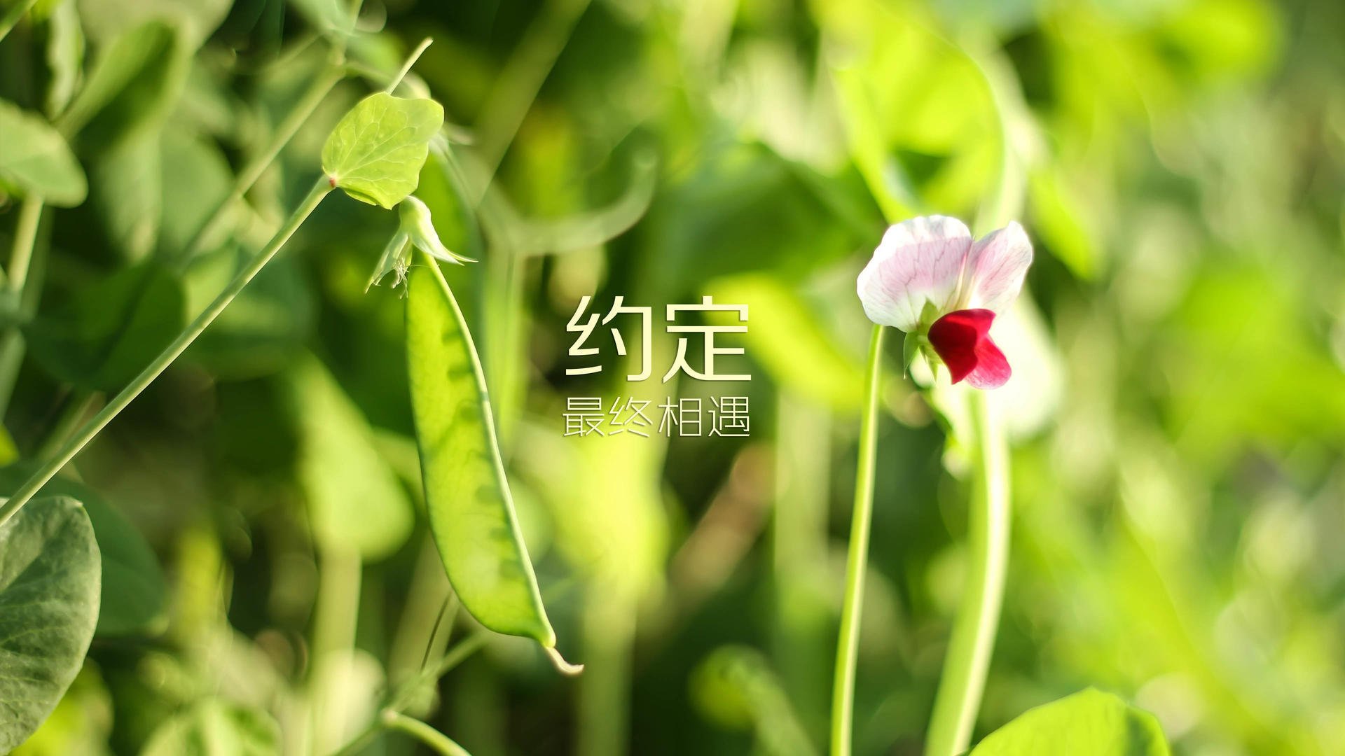 爱游戏体育app-昆明市北客场平局，积分榜位置继续保持稳定，昆明北市区车场